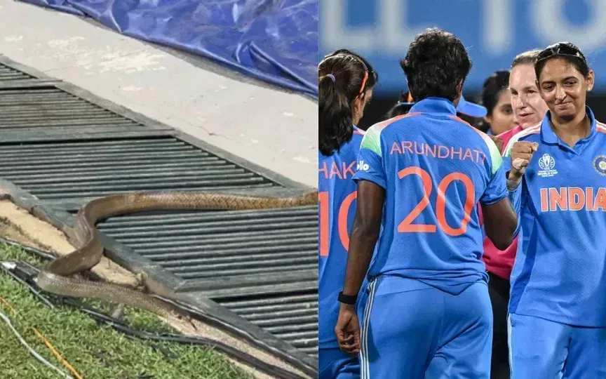 Snake interrupts India Women's training session before World Cup match vs Pakistan